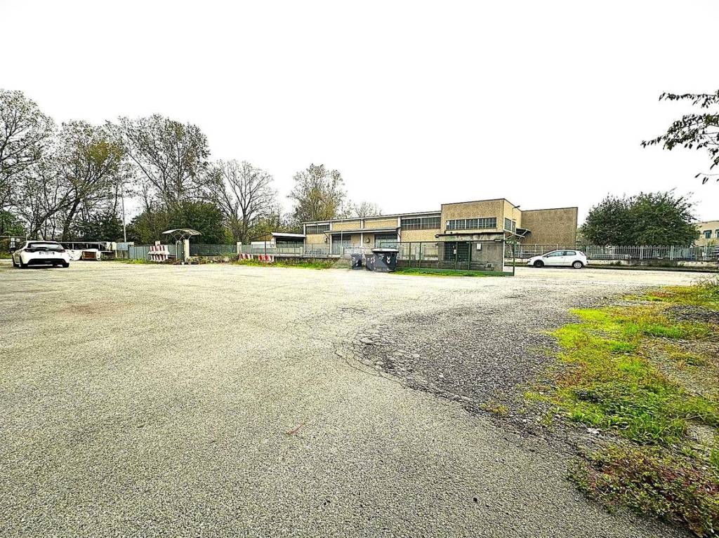 immagine annuncio 9 di 15