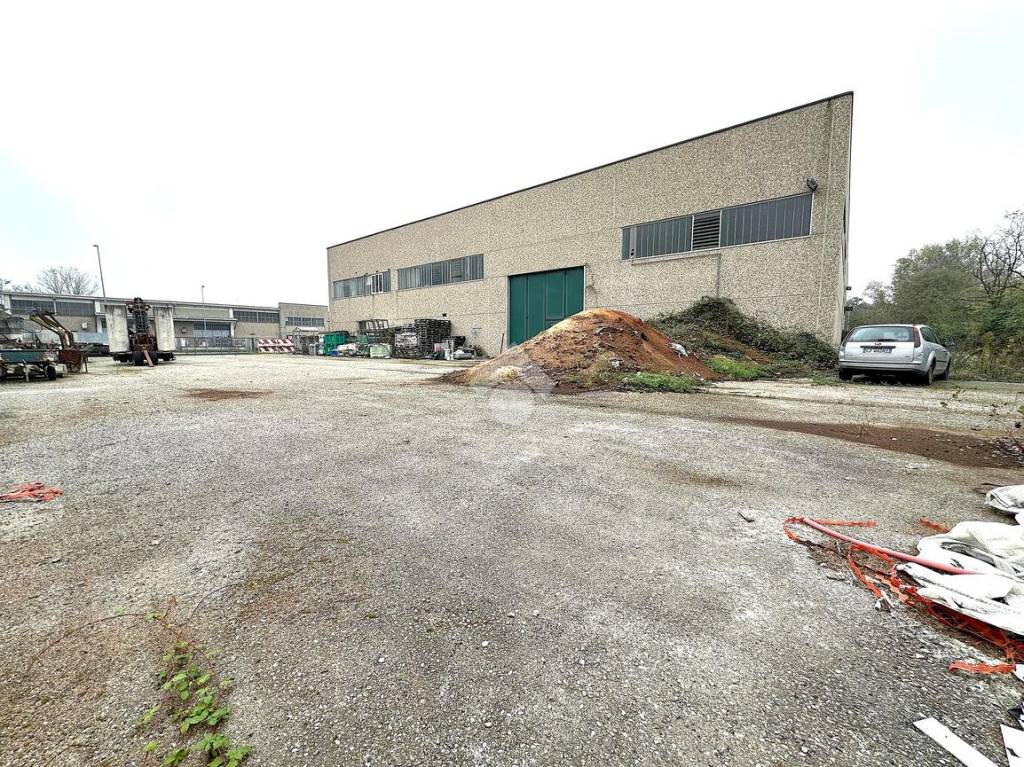 immagine annuncio 4 di 15