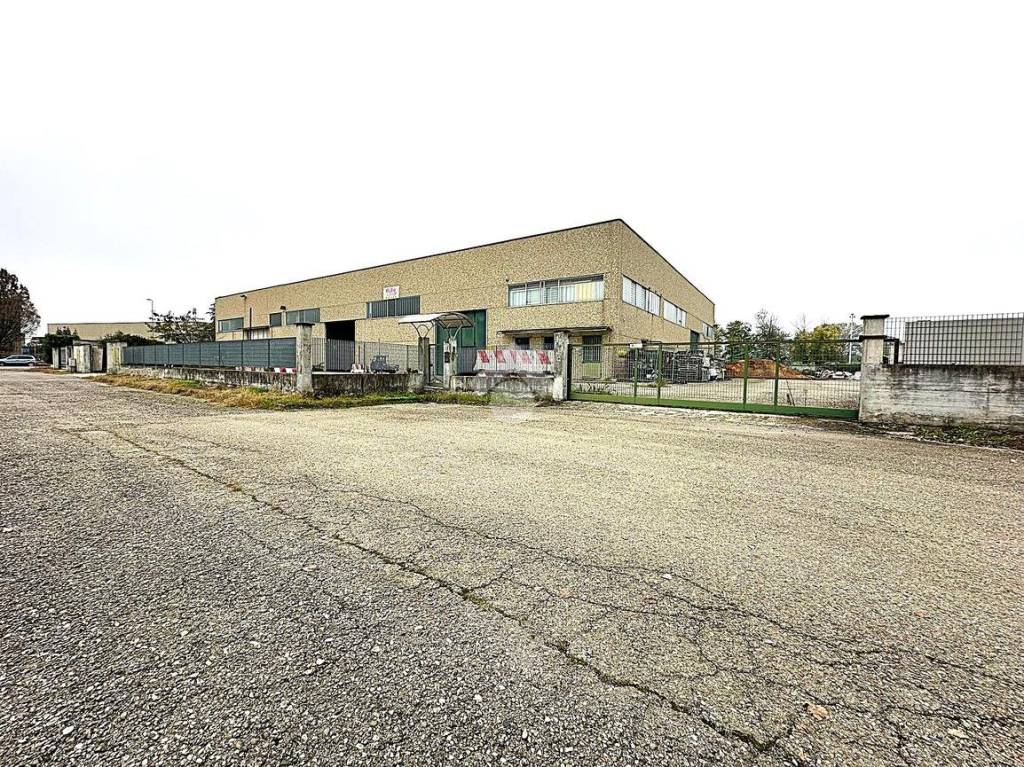 immagine annuncio 2 di 15