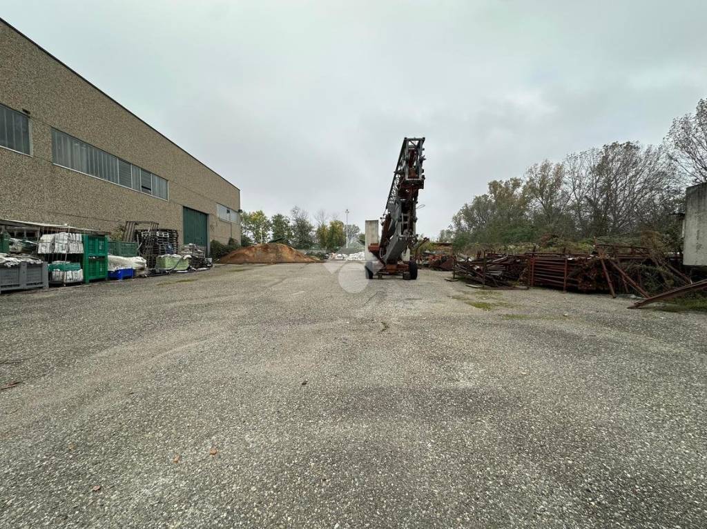 immagine annuncio 6 di 15