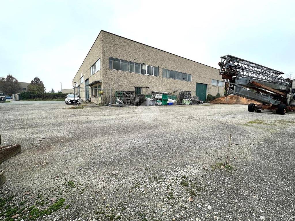 immagine annuncio 10 di 15