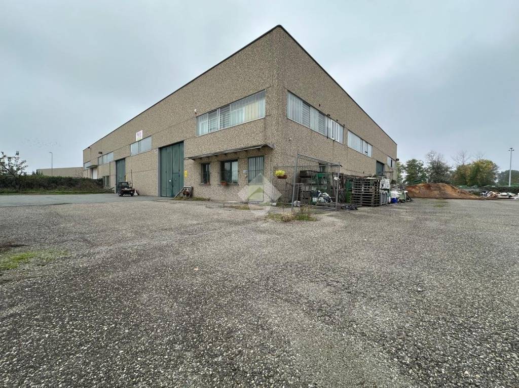 immagine annuncio 3 di 15