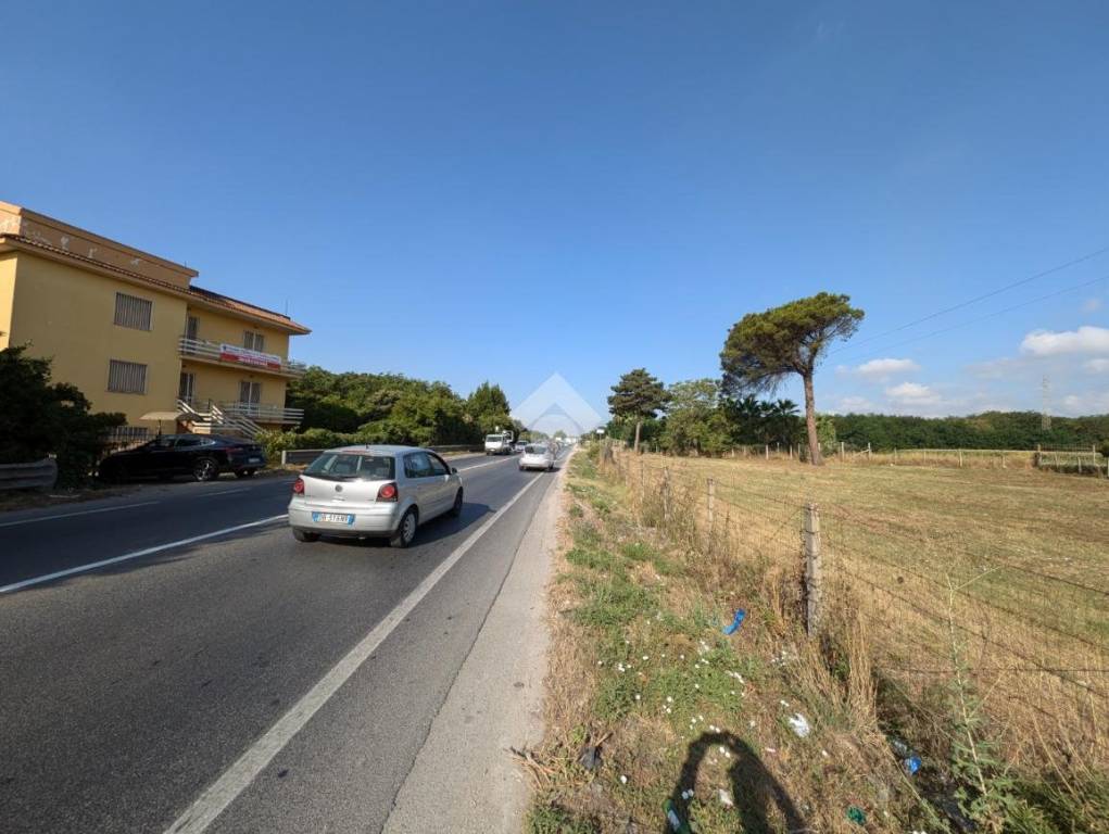 immagine annuncio 10 di 13