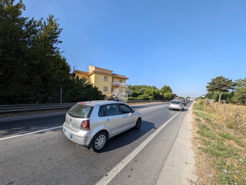 immagine annuncio 11 di 13