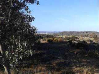 Terreno agricolo in vendita a carbonia funtanona