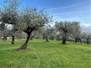 Terreno agricolo in vendita a bevagna loc. madonna delle grazie