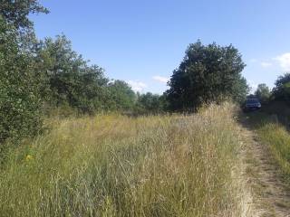 Terreno agricolo in vendita ad arezzo località chiani, 102/1