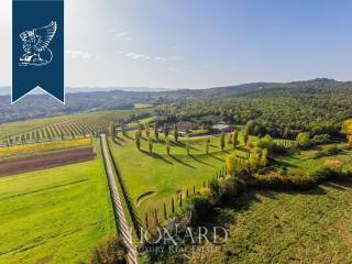 Azienda agricola in vendita a civitella in val di chiana 