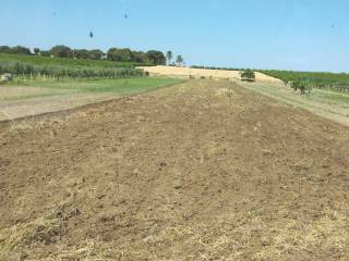 Terreno agricolo in vendita a taranto via leonida da taranto, 0