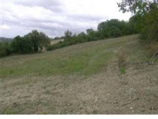 Terreno agricolo all'asta a urbino via san lorenzo in cerquetobono