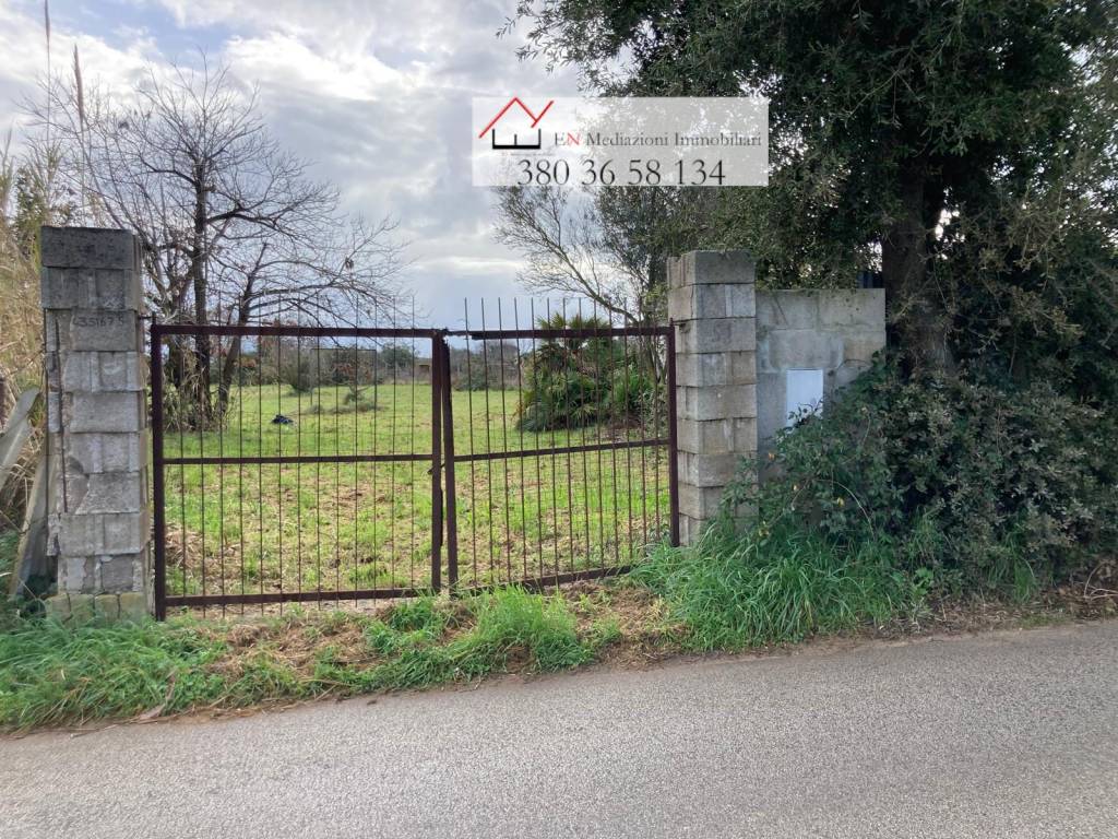 immagine annuncio 13 di 15