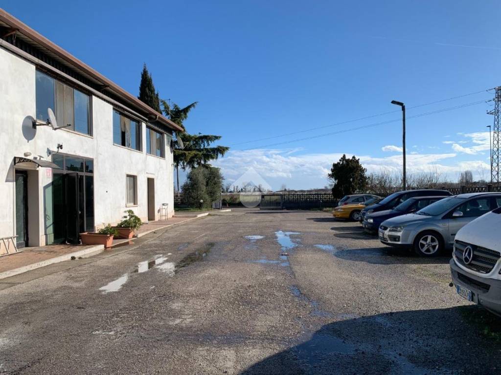 immagine annuncio 2 di 14