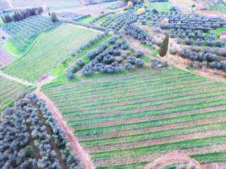 Colonica in vendita a certaldo zona campagna