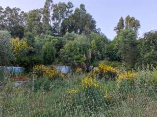 Terreno agricolo in vendita a iglesias 