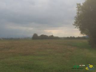 Terreno agricolo in vendita a noceto noceto