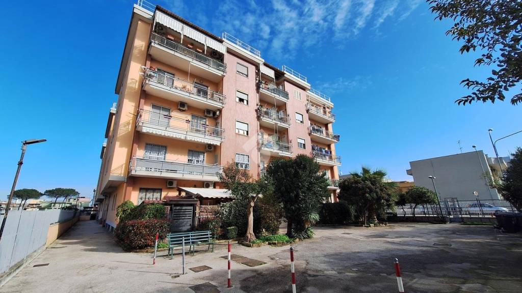 immagine annuncio 2 di 14