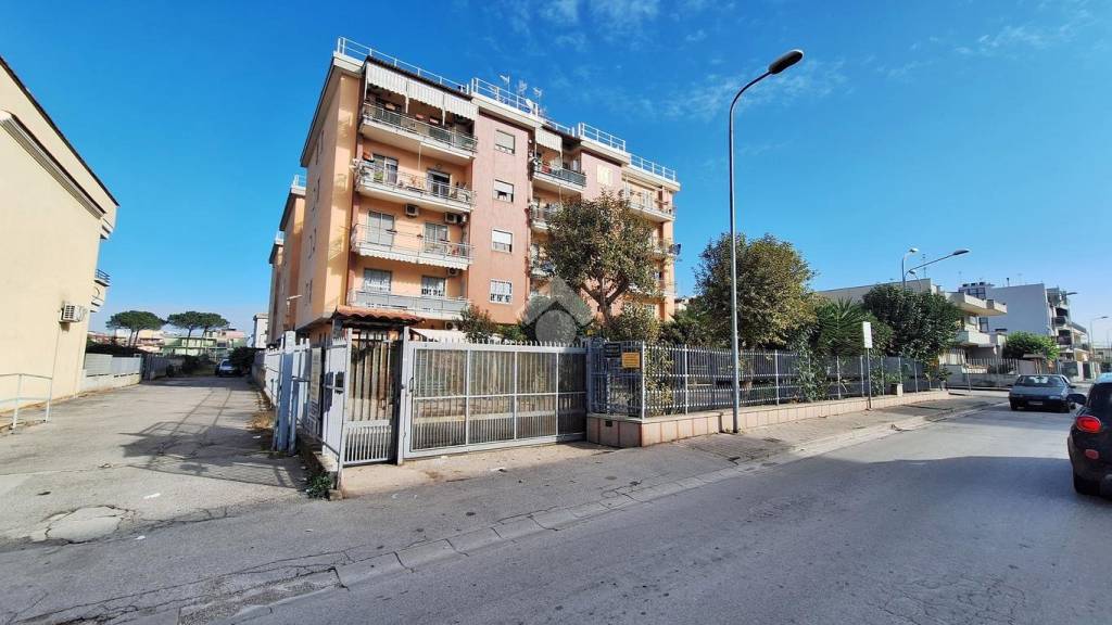 immagine annuncio 9 di 14