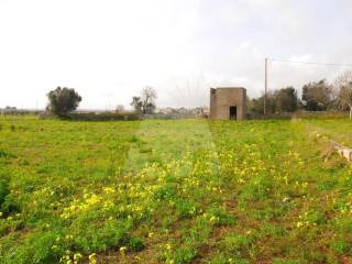 Terreno agricolo in vendita a corsano strada monterone