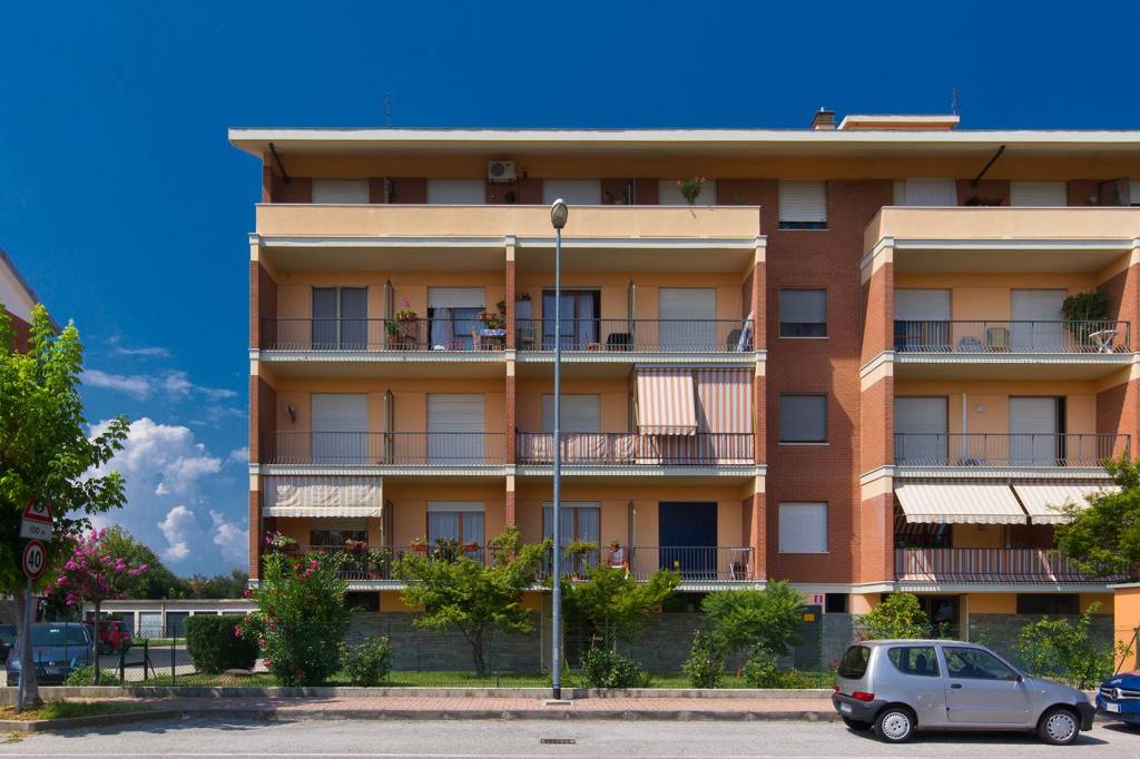 immagine annuncio 3 di 11