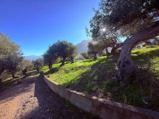 Terreno residenziale in vendita a termini imerese contrada incallisi