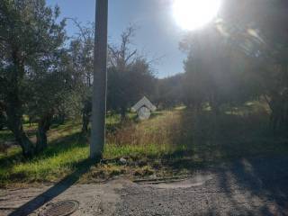 Terreno agricolo in vendita a cosenza località donnici