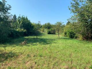 Terreno agricolo in vendita a gallicano nel lazio via prenestina antica, 81