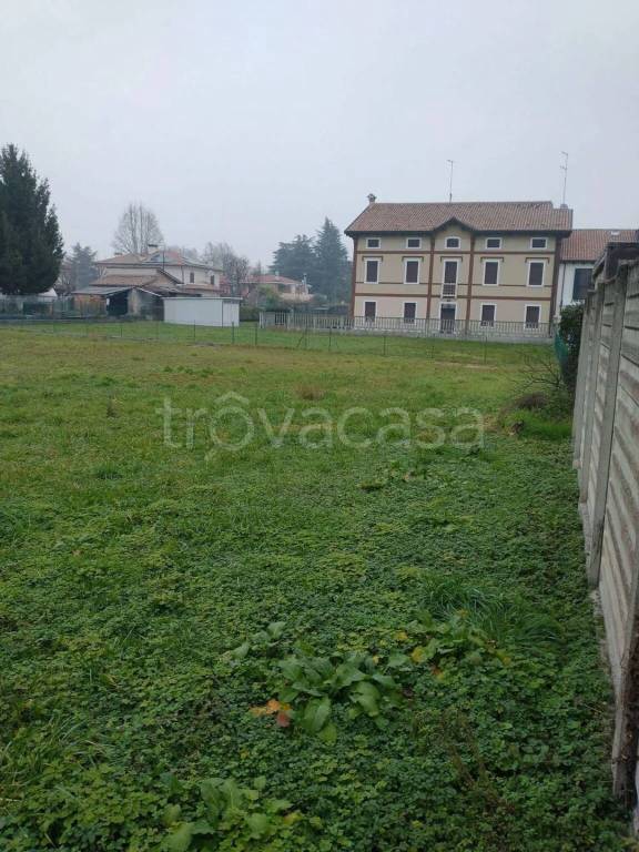 immagine annuncio 4 di 7
