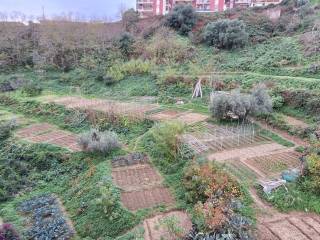 Terreno agricolo in vendita a messina salita tre monti, sn