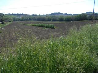 Terreno agricolo in vendita a montemarciano oliveto s.n.c.