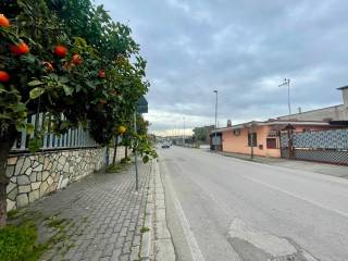 Terreno agricolo in affitto a volla via luigi pirandello