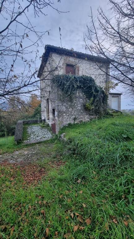 immagine annuncio 4 di 7