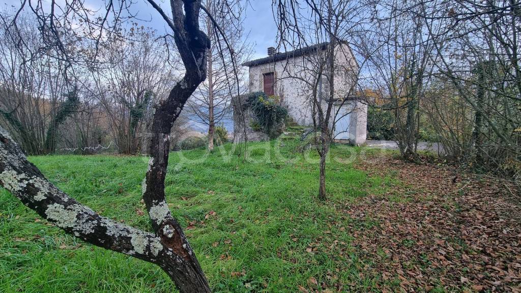 immagine annuncio 2 di 7