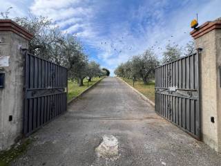 Terreno agricolo in vendita a monte compatri via di torre jacova