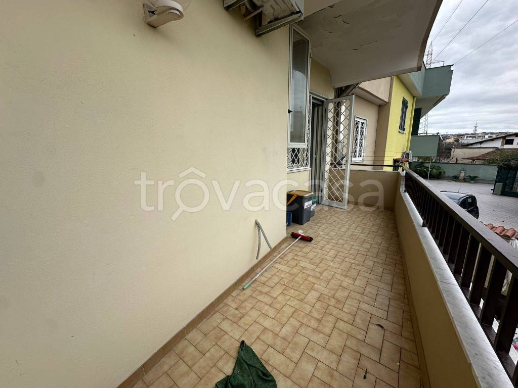 immagine annuncio 12 di 14