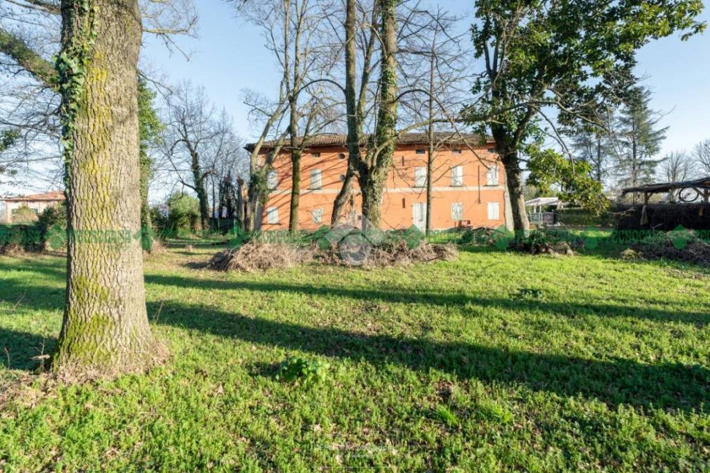 immagine annuncio 10 di 12