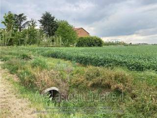 Terreno agricolo all'asta a lugo via canalvecchio