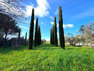 Terreno residenziale in vendita a formello via baccanello