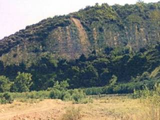 Terreno agricolo all'asta a simeri crichi via fontana vecchia