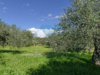 Terreno agricolo in vendita a san pietro clarenza via siracusa