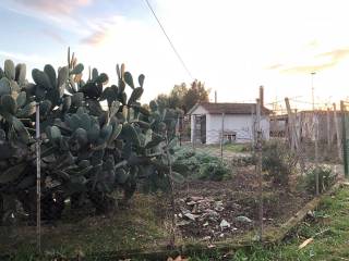 Terreno agricolo in vendita a grosseto strada del pianetto