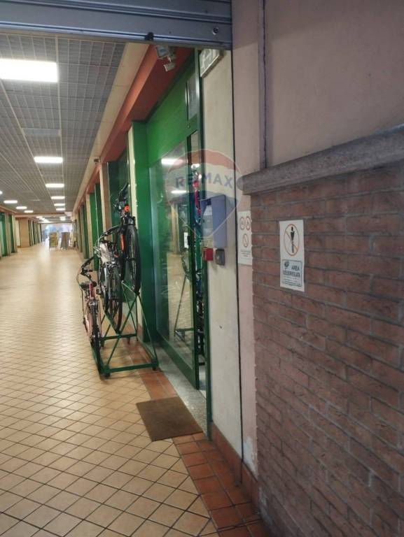 immagine annuncio 2 di 6
