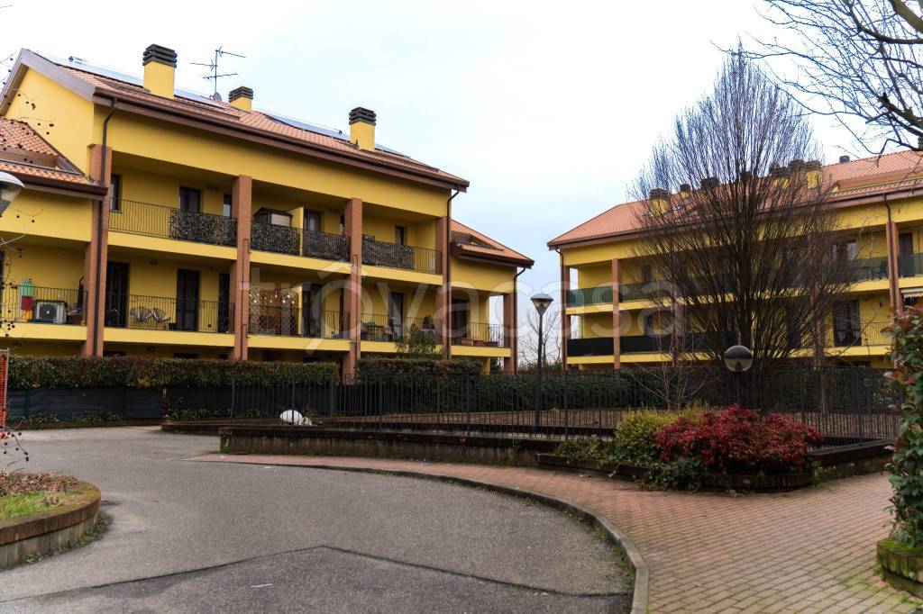 immagine annuncio 5 di 15