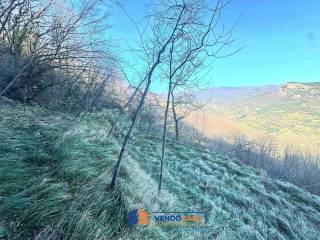 Terreno agricolo in vendita a finale ligure via bracciale