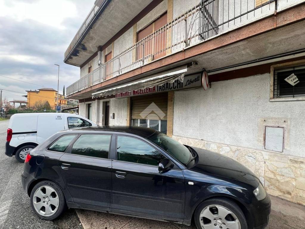 immagine annuncio 2 di 12