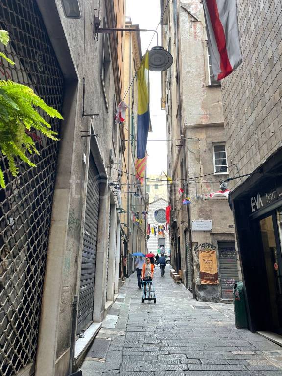 immagine annuncio 8 di 11