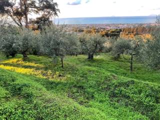 Terreno agricolo in vendita a capo d'orlando contrada amola