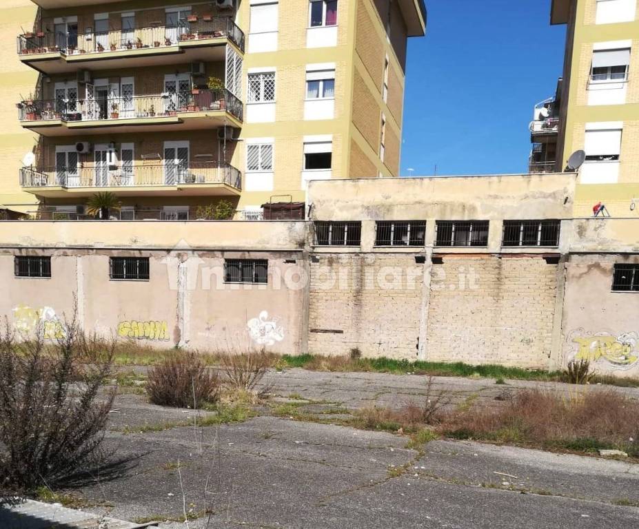 immagine annuncio 1 di 4