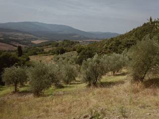 Terreno agricolo in vendita a radicondoli strada provinciale di radicondoli