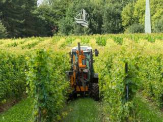 Terreno agricolo in vendita a caldaro sulla strada del vino kaltern