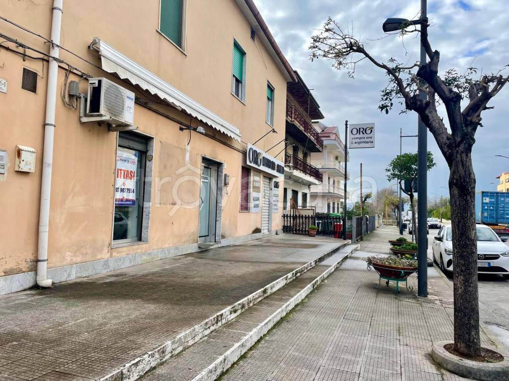 immagine annuncio 11 di 14